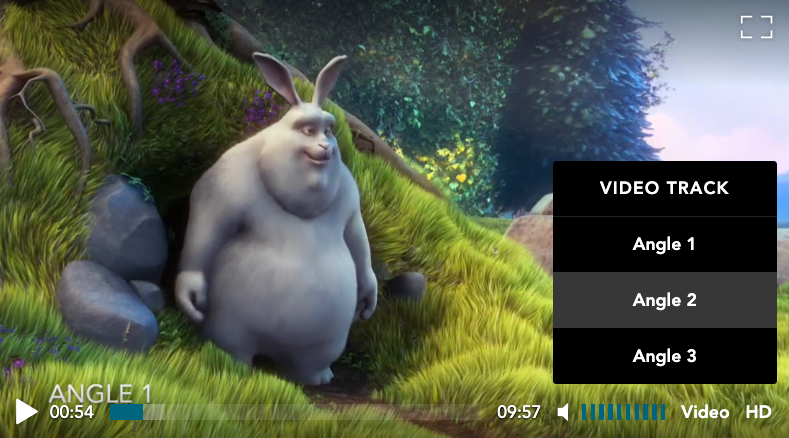 #width=100%;class=image-border; Wowza Flowplayer Video Track Selection plugin